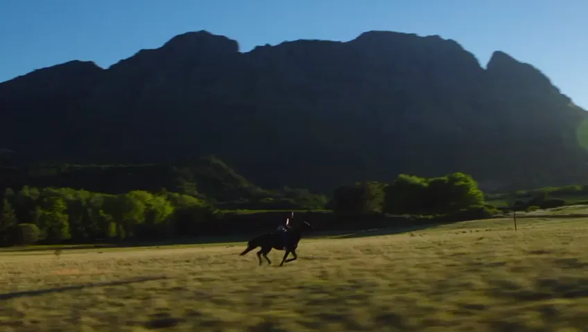 Horse and rider galloping below Table Mountain's back